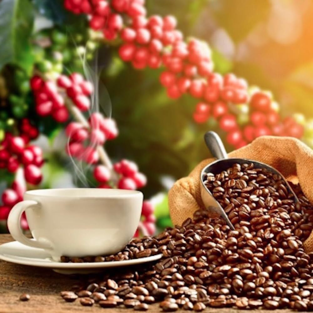 Lion Coffee Toasted Coconut Flavored Coffee 24 Ounce Premium Arabica Beans