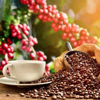 Lion Coffee Toasted Coconut Flavored Coffee 24 Ounce Premium Arabica Beans