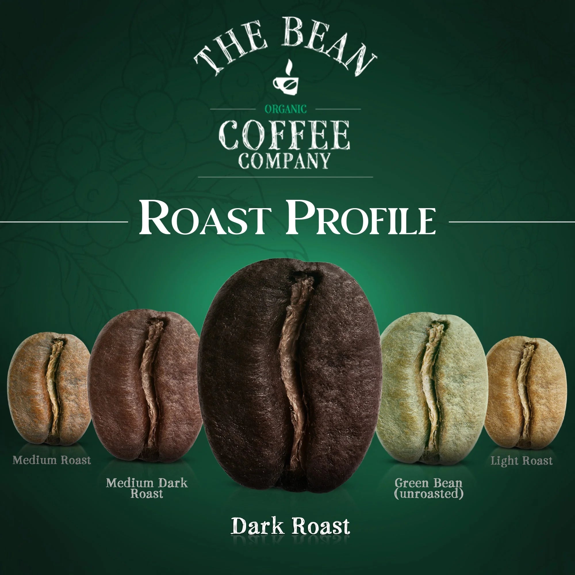 50/50 French Roast, 50% Decaf, Dark Roast, Ground Coffee, 5-Pound Bag