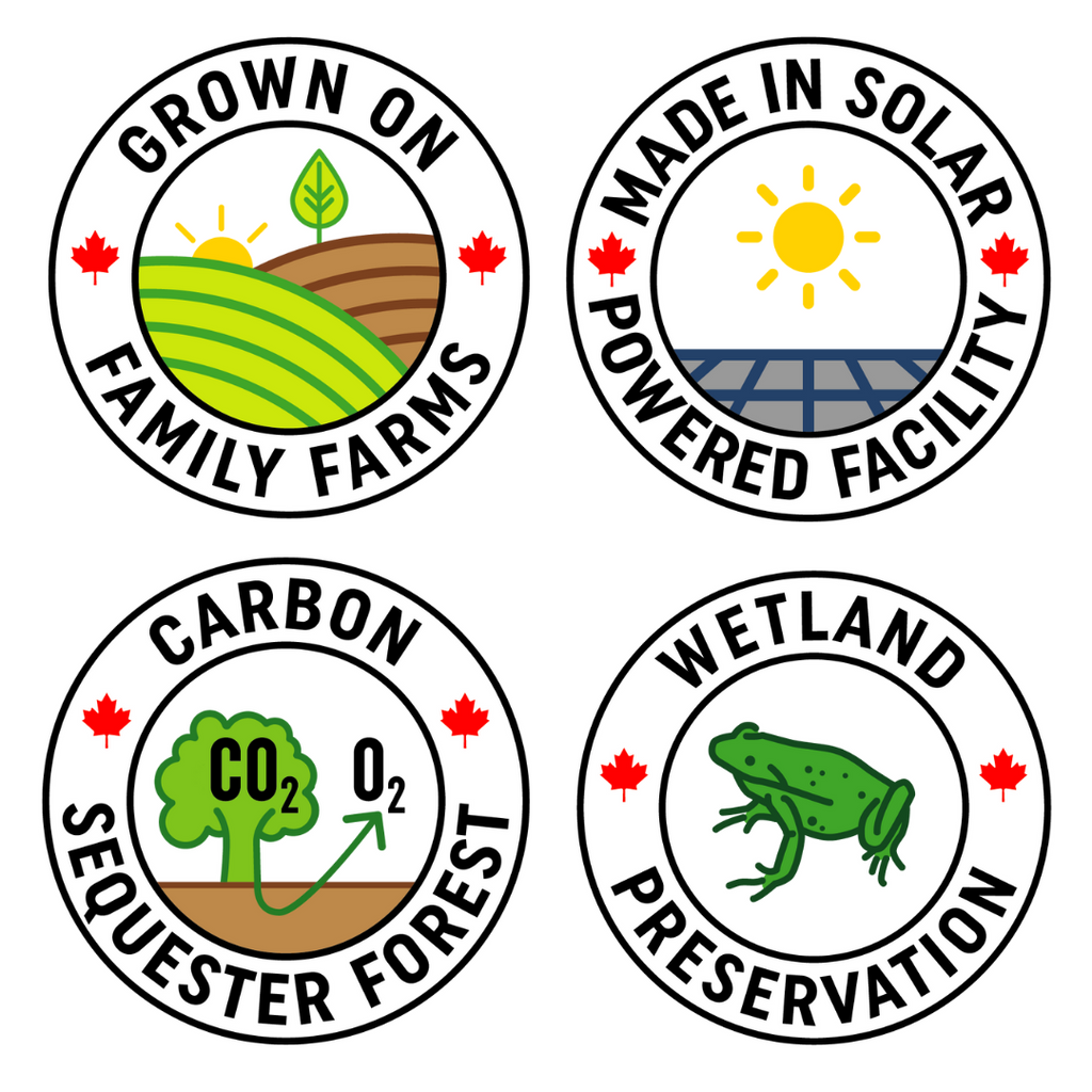 Tega Japanese Matcha 40g | Organic